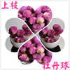Wholesale supply of peony flower tea, peony balls/peony flower ball/peony flower tea on board supply