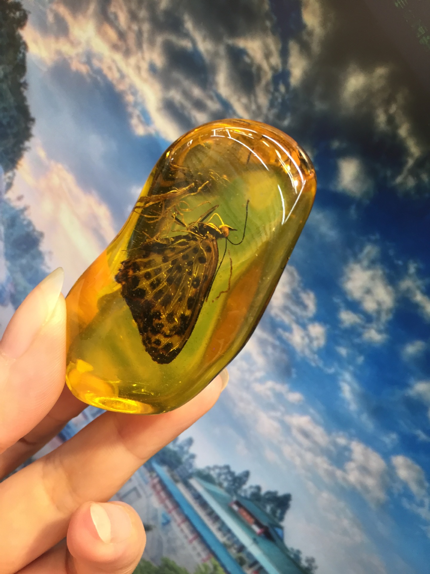 琥珀原石系列 原石成品 蜜蜡 血珀批发-阿里巴巴