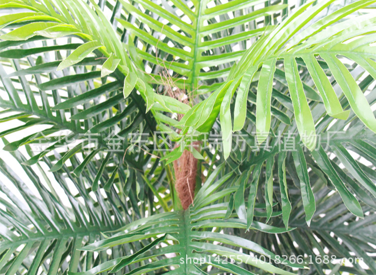 XRS-071五叉树头小葵叶29叶100CM叶子