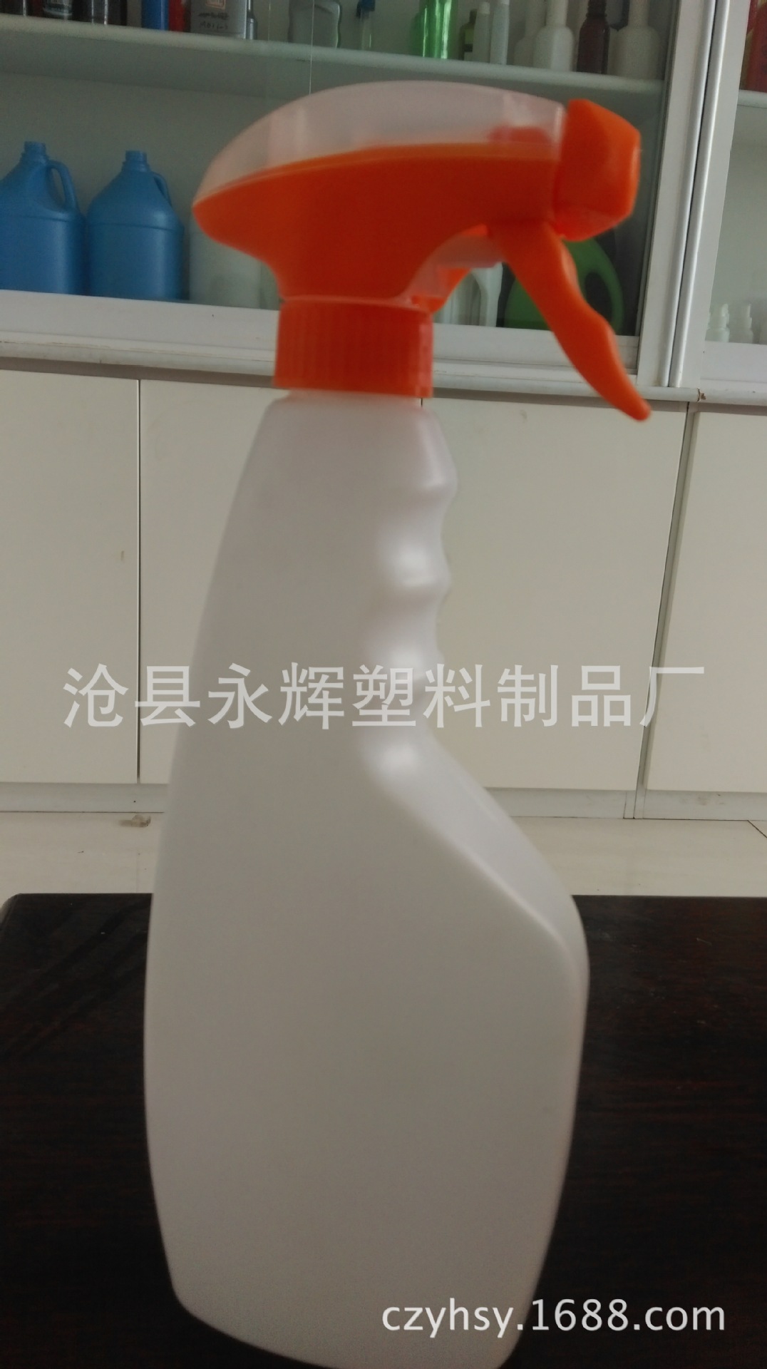 IMAG0922