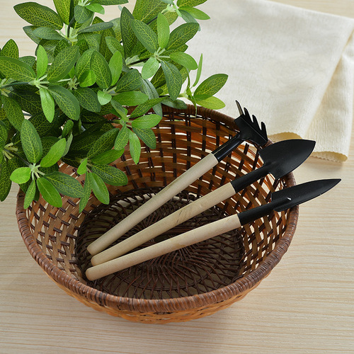 Potting small shovel flower gardening tool succulent planting tool set mini three-piece set household iron shovel
