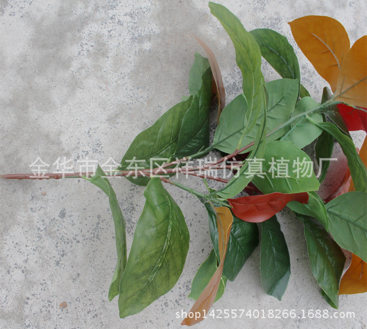 XRB-102秋高榕叶五叉支40叶60厘米枝干