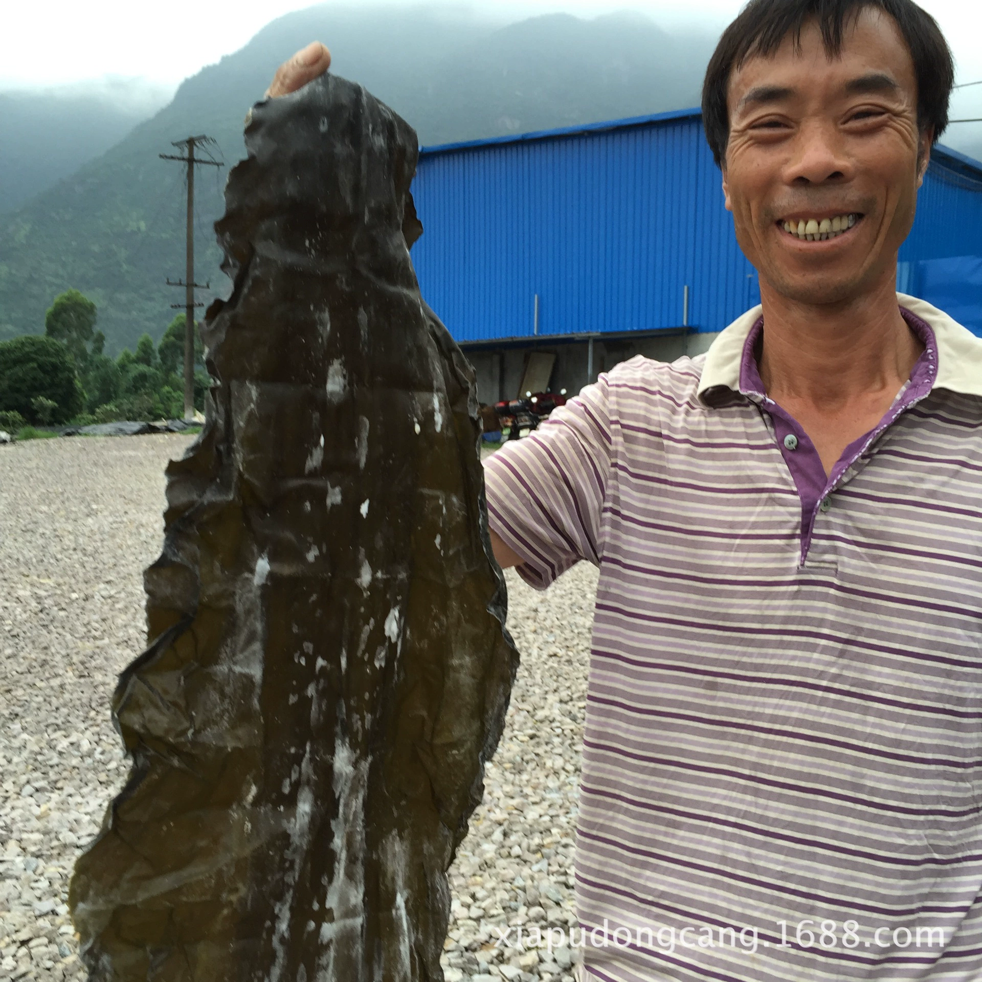 Xiapuhai шелковые ножницы и хвосты