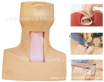 高级气管切开插管训练模型