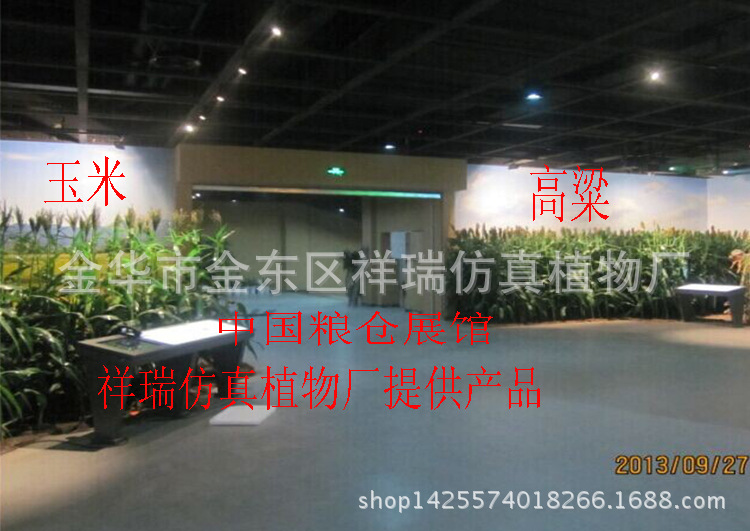 博物馆玉米高粱