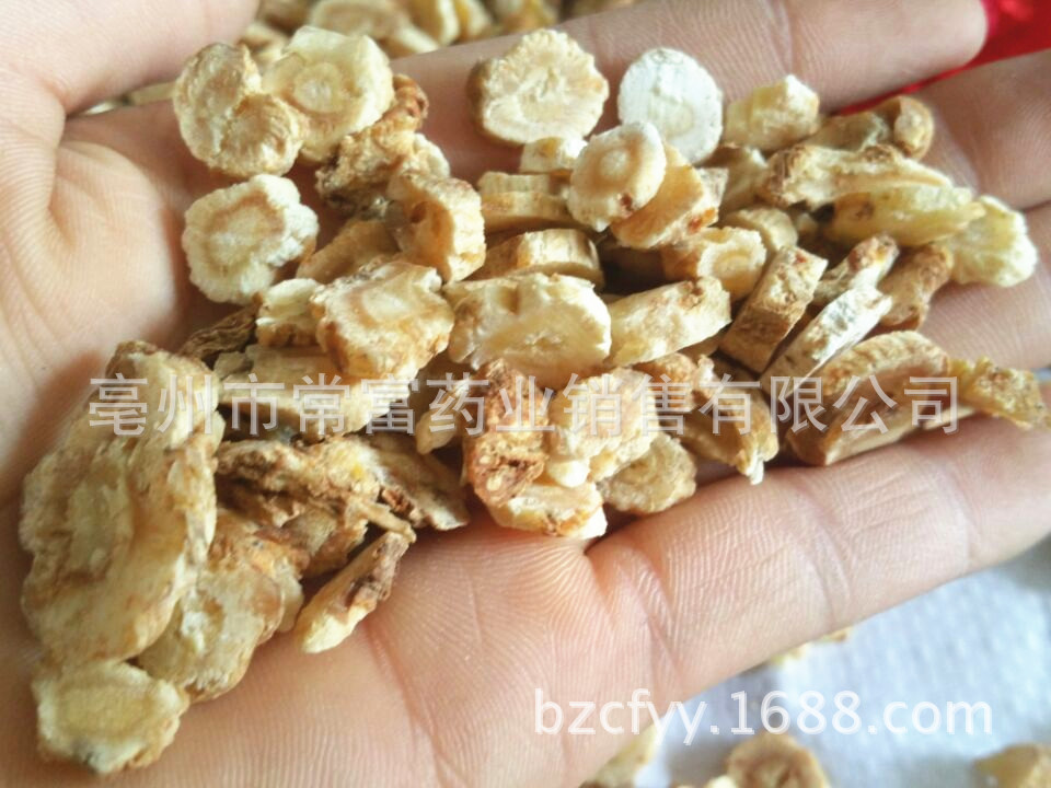 Dried Glehnia Root Slices Bei Sha Shen 500g TCM Herbal Decoction Pieces in use