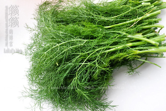 蔬菜种子_批发零售茴香种子 球茎八角 小茴香