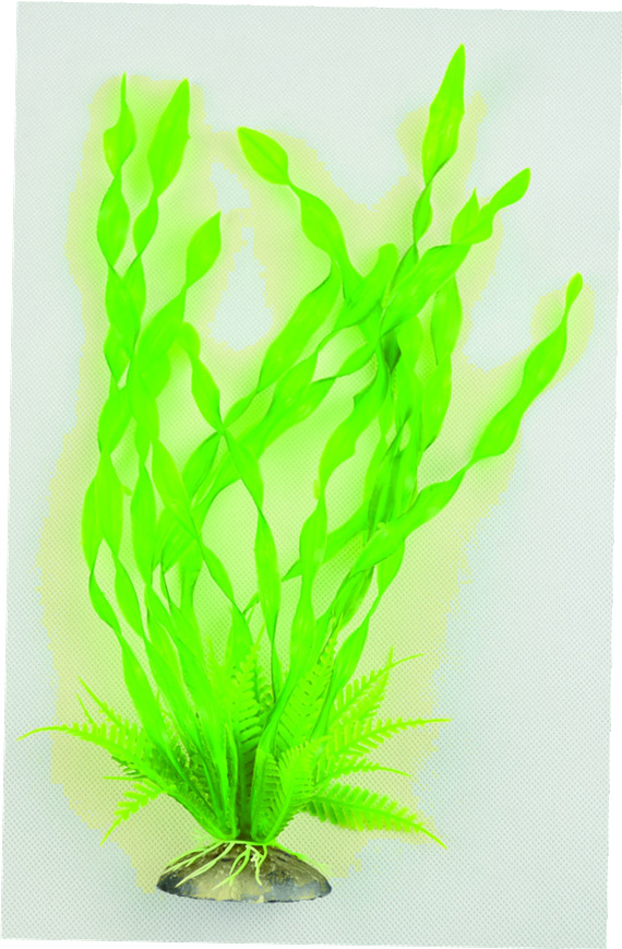 QQ图片20150728135102