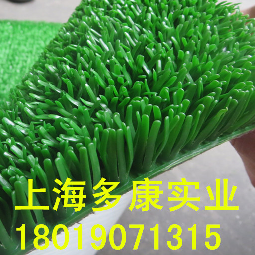 淘金吸金固金草粘金草吸金草、吸金布、粘金布、增金草