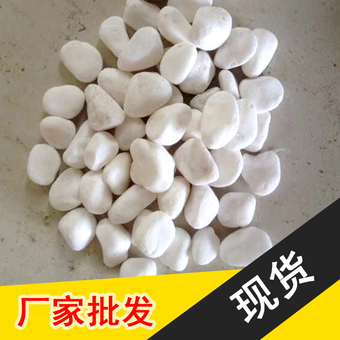 南京特级纯白雨花石普通鹅卵石水洗石五彩石景观铺路水池垫底