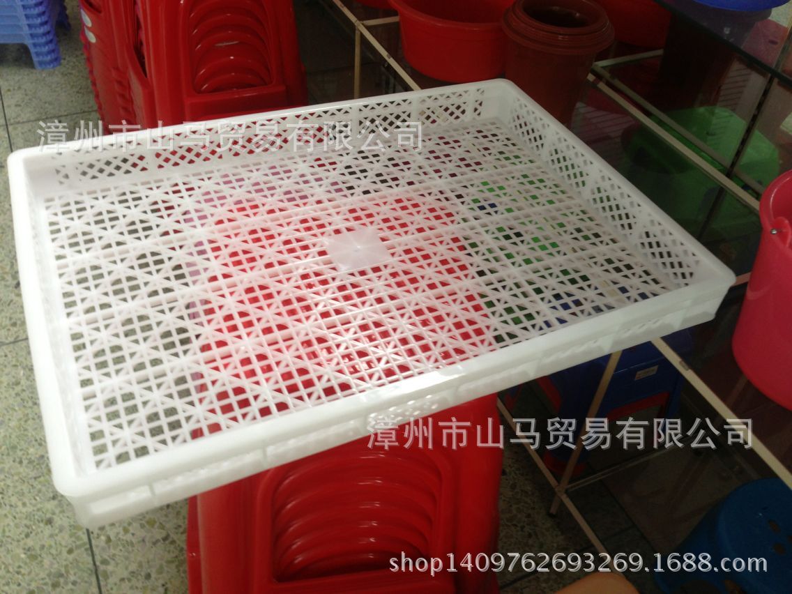 供应白色塑料网格方盘 晒盘 耐高温冷冻周转托盘 单冻烘烤风干盘