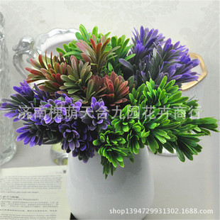 Sl Pβ 滨 ٻ 컨 ֲ ֲ 廨