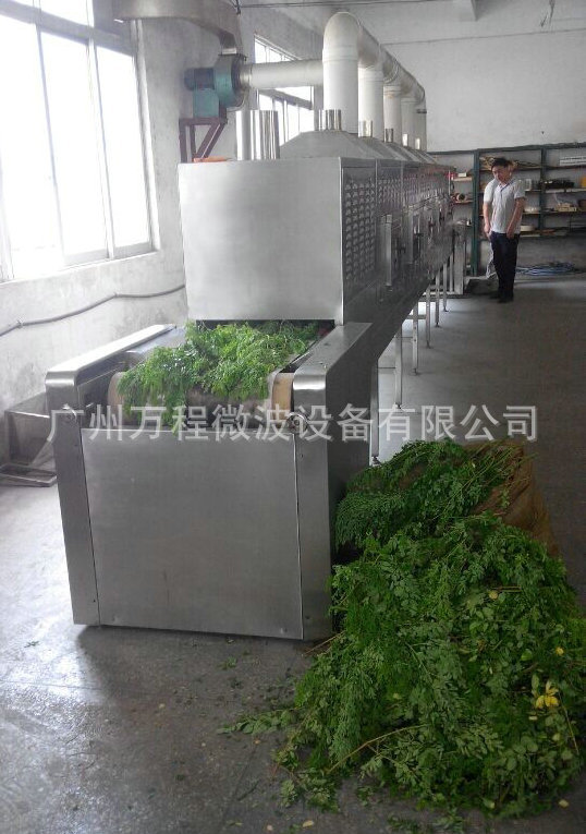 热销推荐 CNWB-30S茶叶干燥杀青设备 微波茶叶杀青机