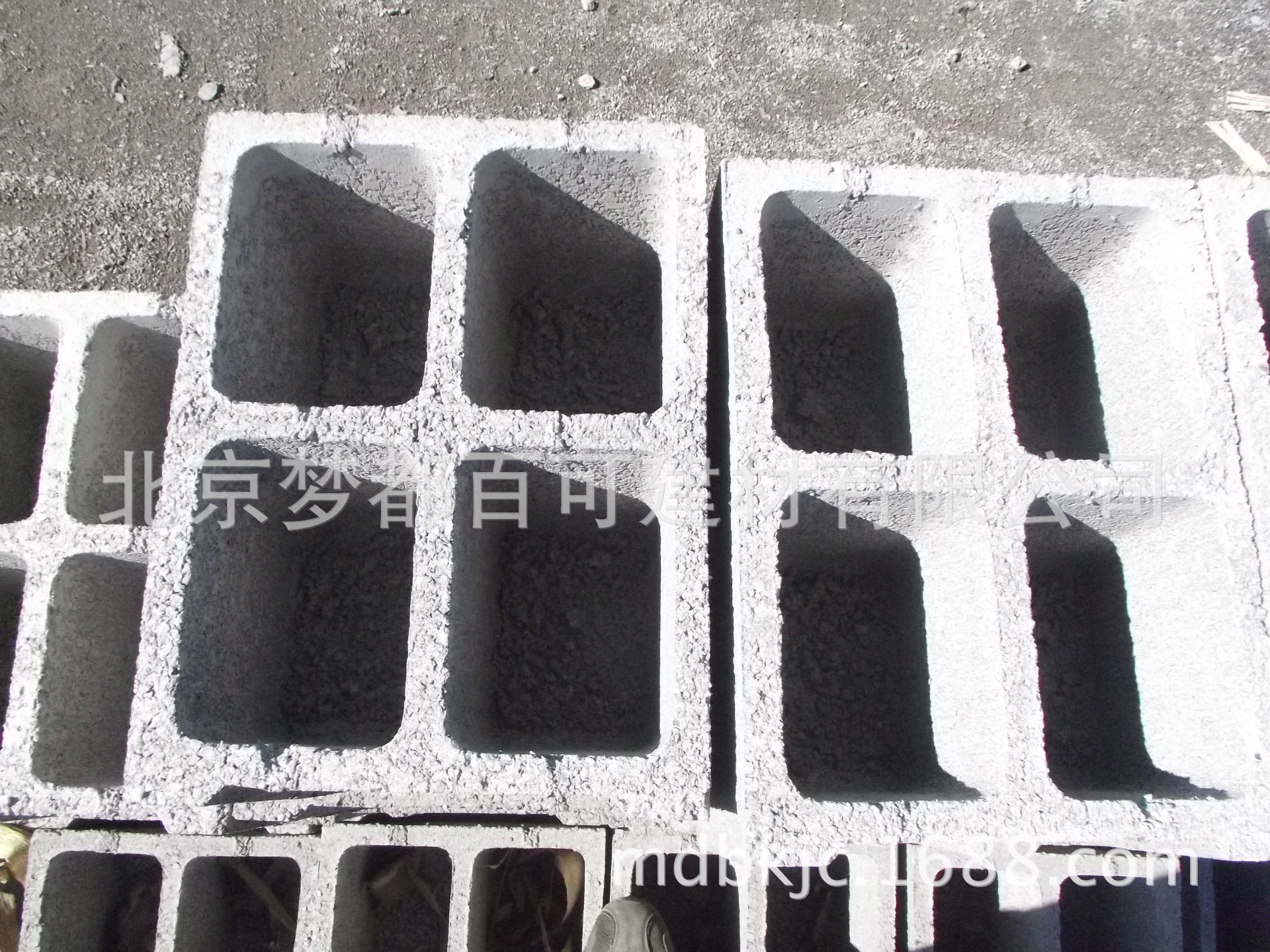 DSCF0781