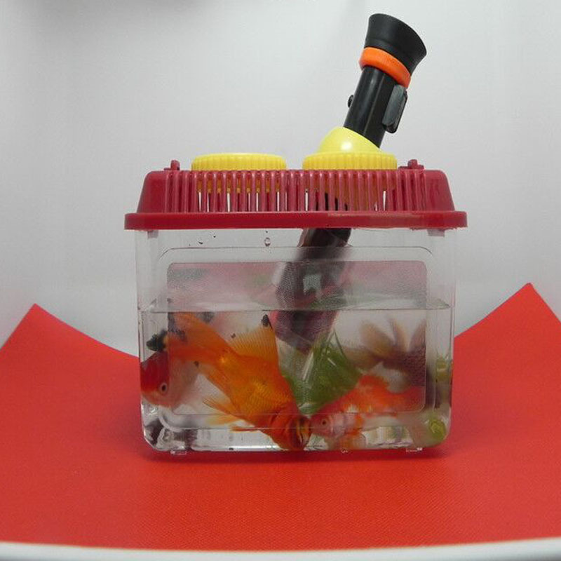 DS-A001昆虫盒子1