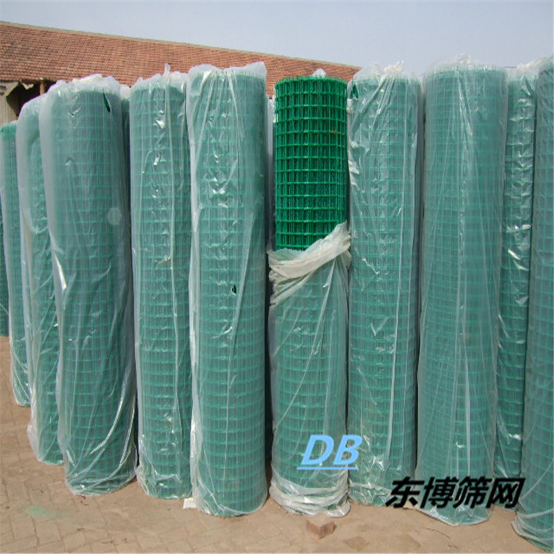 现货批发荷兰网，硬质荷兰网，养殖家禽铁丝网，质量优质