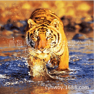 ȫ��ĥë�� 3D��ɢӡ���� 60-125�˴�Ʒ����