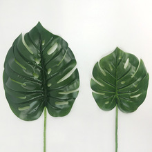 Sҵ̓rGɫֲش~ ֲ٘~֦~