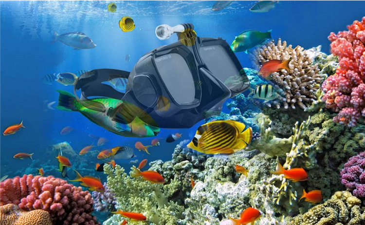 5}172GW20NCTJGMTKGI8%K0