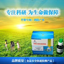 ���l������r��ԇ���� �͏d�Ј����|�z�y�x ʳ������ٜyԇ��