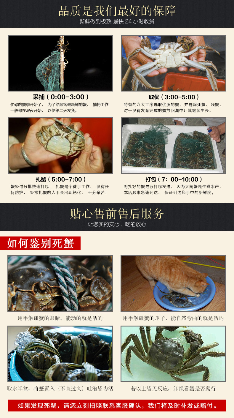 湖畔人家_12