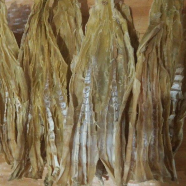 田源【产地直供】笋干 福建古田黄尖笋 甜笋干 1斤