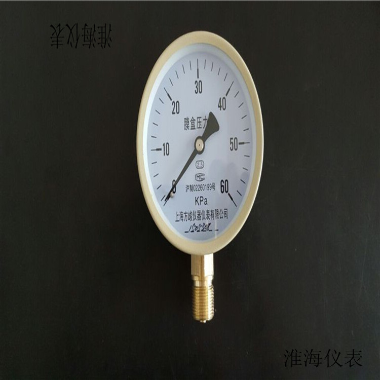 上海方峻YE-100膜盒全规格压力表