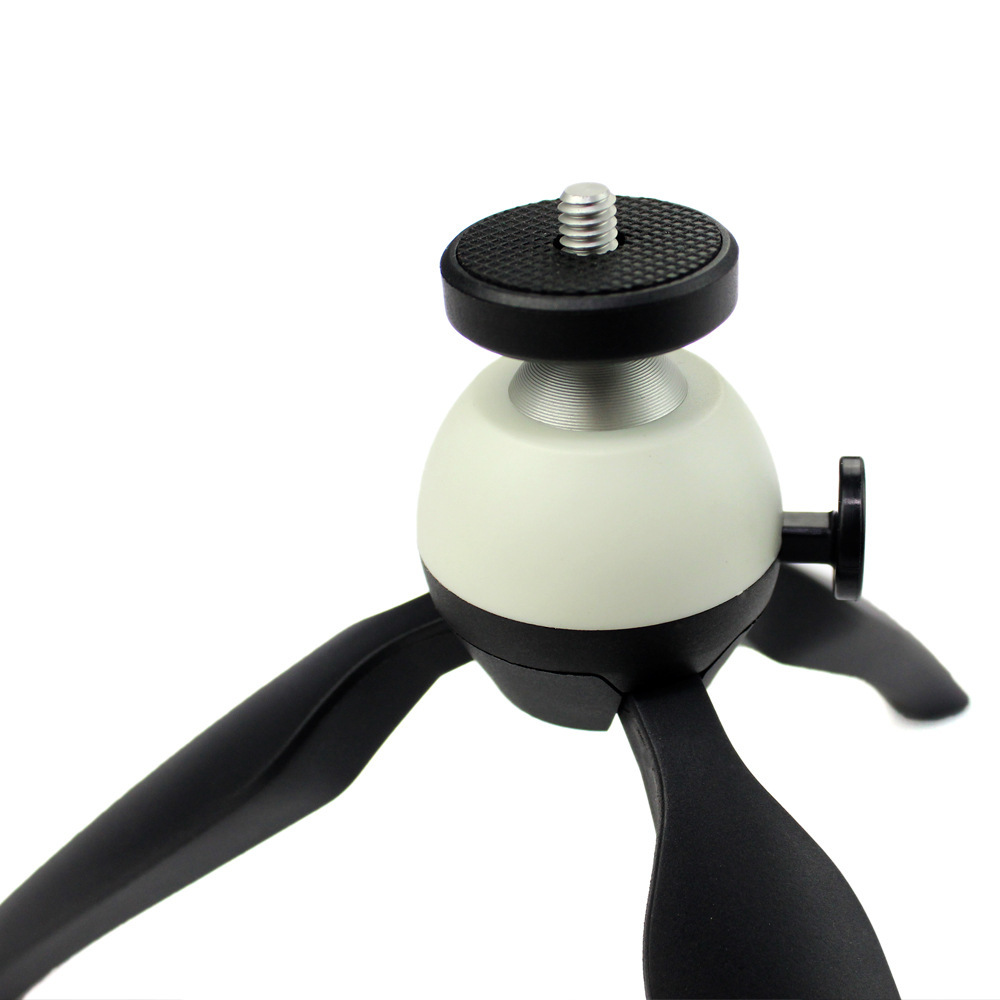 2502242426_2108336670