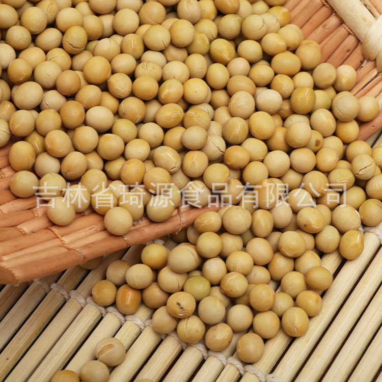 Roasted Soybeans Northeast China Specialty Ready to Eat Soybean Snack Bulk Wholesale quality and texture