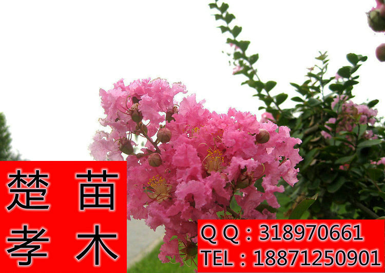 8326cffc1e178a822904383cf60373