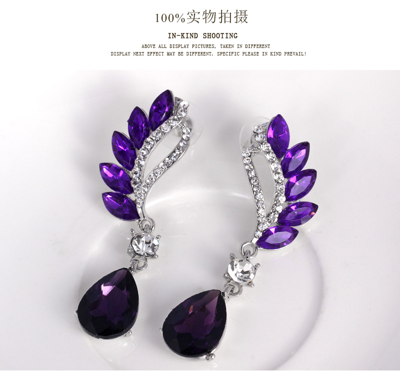 Fashion Crystal Earrings Fashion Jewelry Earrings Wholesale display picture 9