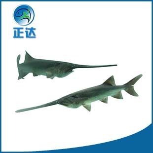 ��ˮ�Bֳ�����|�~�� �� �F؛���������~�~����w�r��