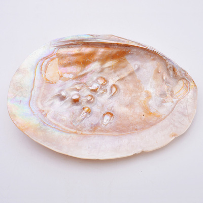 freshwater Mother of pearl shell Jewelry shell Raw materials ornament ornament Placing goods wholesale