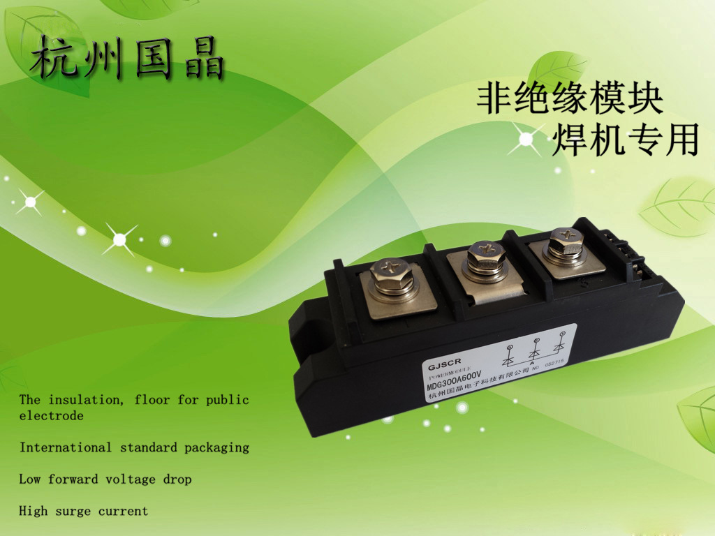 杭州国晶MDG300-16非绝缘模块