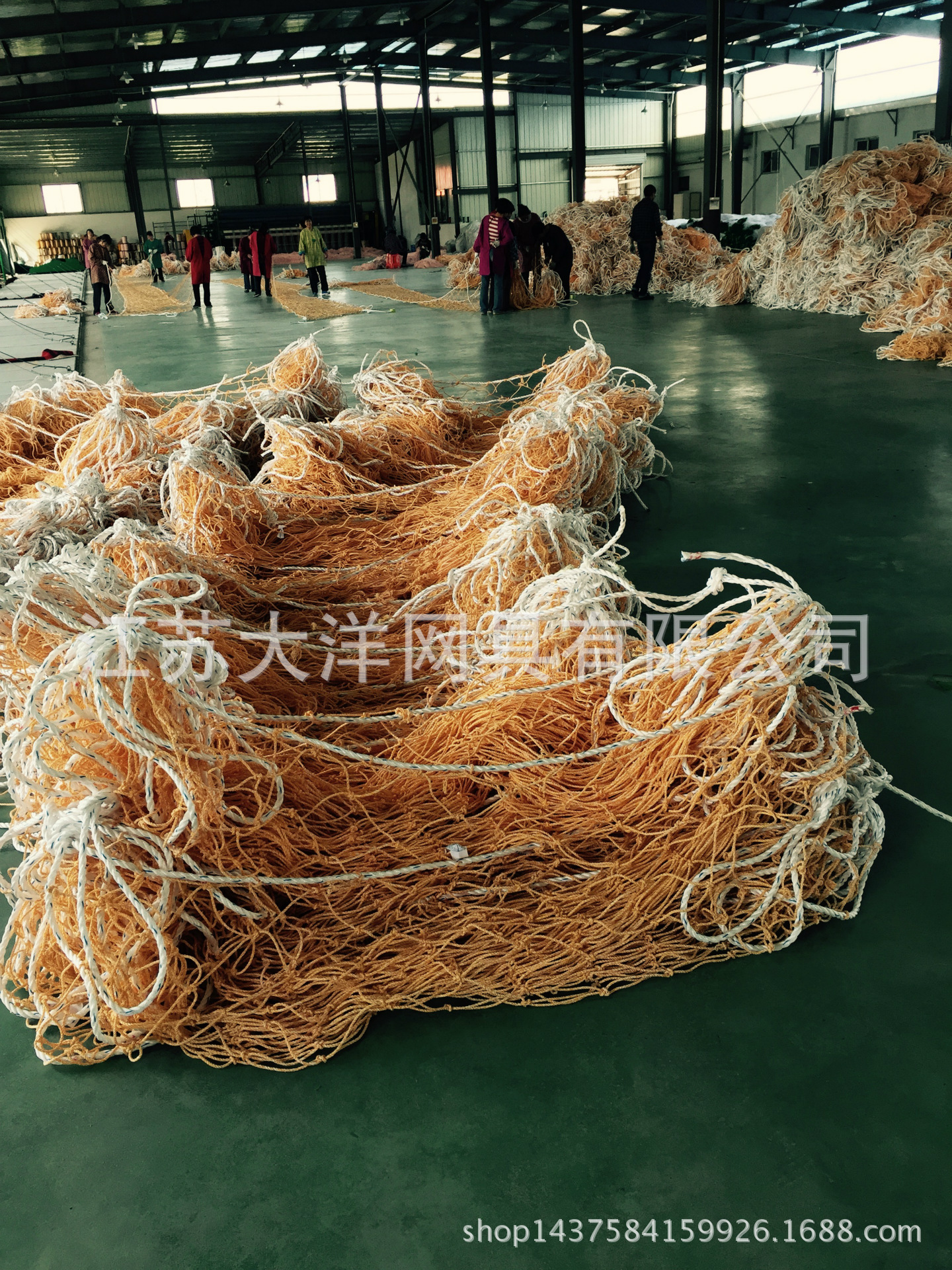 紫菜养殖海苔网i网聚乙烯渔网 农业用网厂家供应 大洋牌