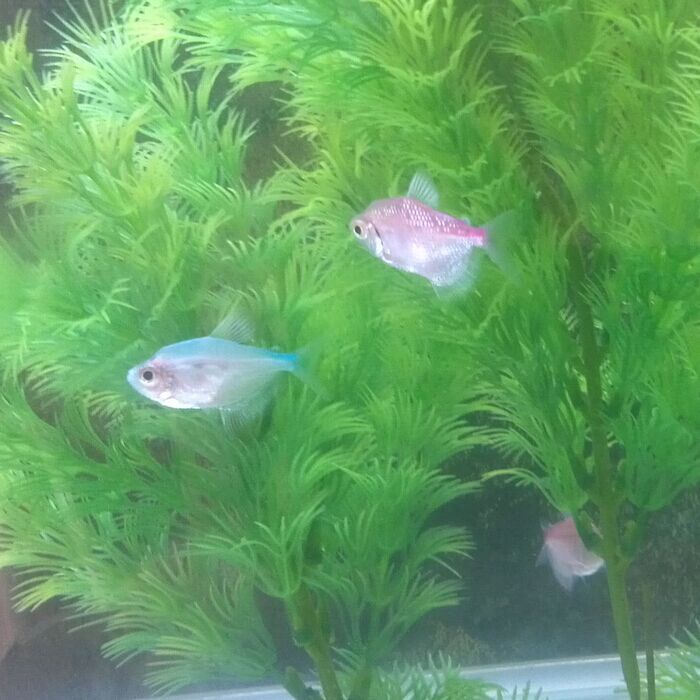 QQ图片20150613115307