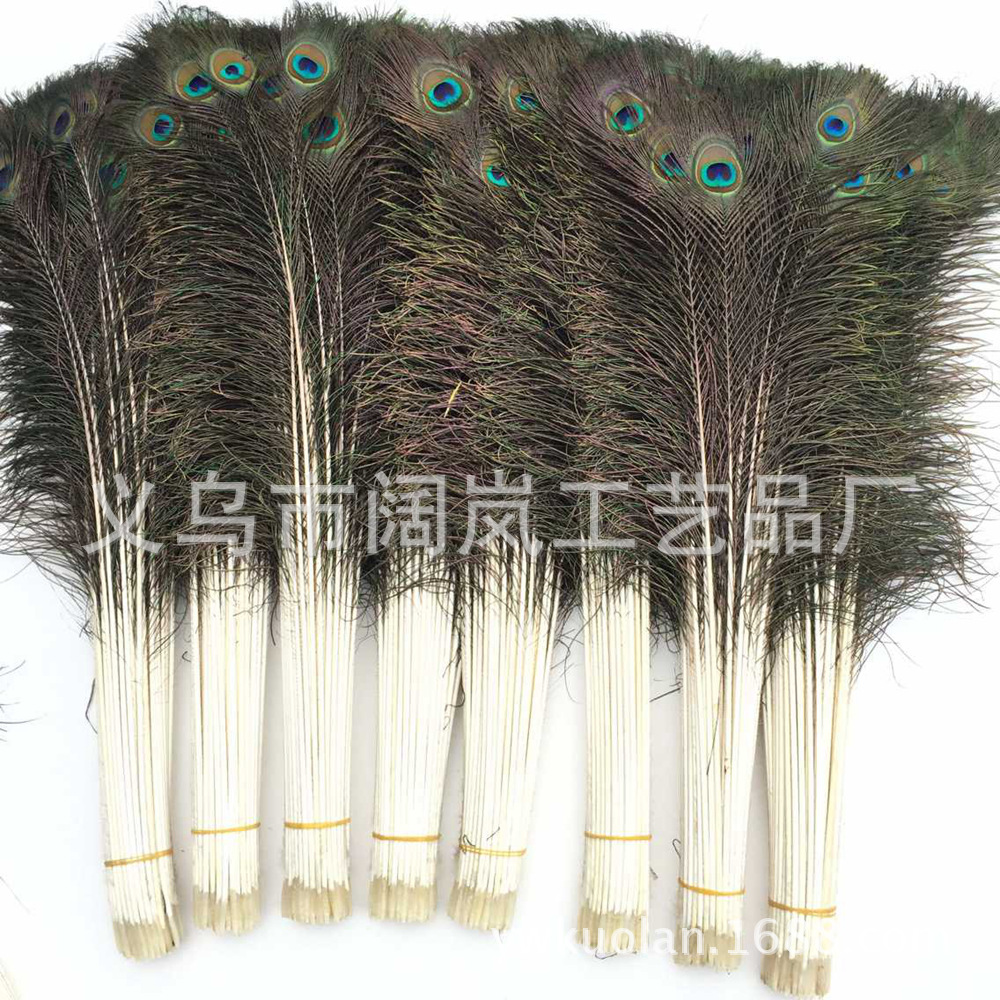 8AE571305E906041318332F51BB9F8