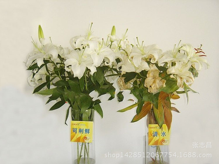 2163439899_1281613989