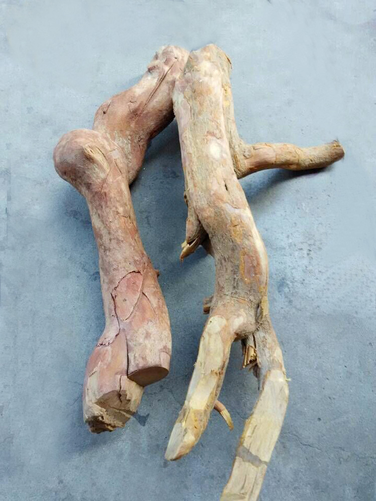 越南野生东革阿里_越南野生东革阿里 产地批发