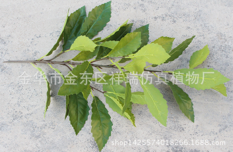 XRB-122夏栎叶四叉枝立体30叶55厘米1