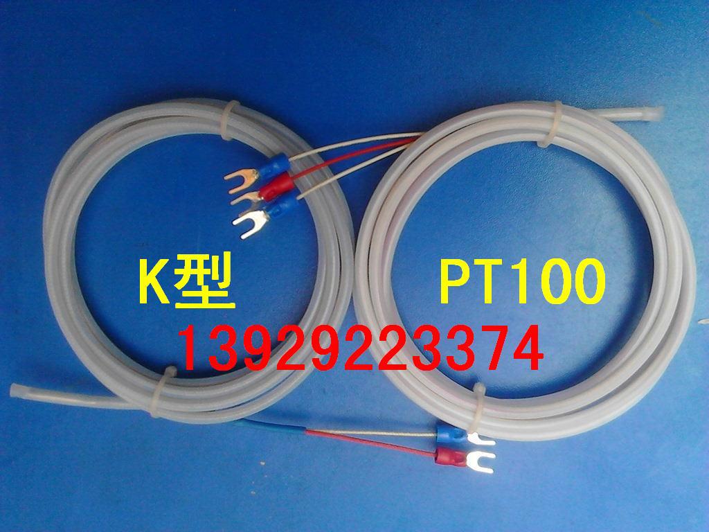 专业生产防腐蚀耐酸碱铁氟龙PT100铂热电阻温度探头传感器