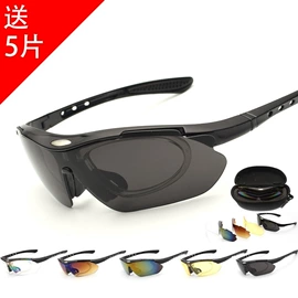 太阳镜;运动眼镜;老花镜