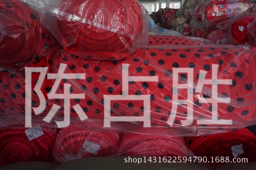 DSC00209