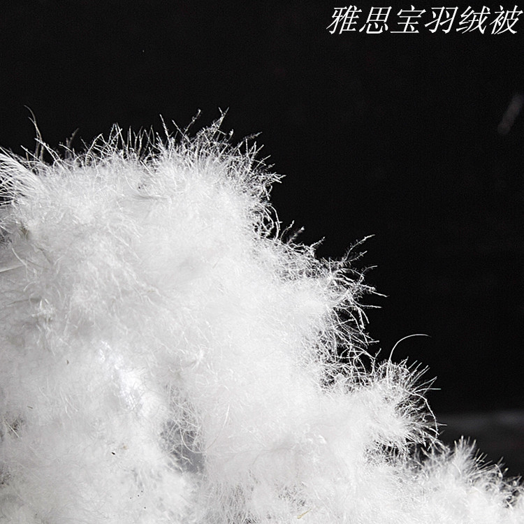 TB2BWtQaXXXXXaDXpXXXXXXXXXX_!!