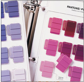 Plastic color chip-Supplementary color chip LCQ-CT