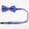 Children's bow tie with bow, accessory for boys, Korean style