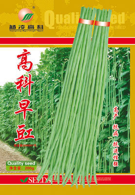 Cowpea seed Asparagus Chief Long-term Carob Yangling Tech 200g Bagged