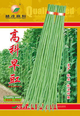 Cowpea seed Asparagus Chief Long-term Carob Yangling Tech 200g Bagged