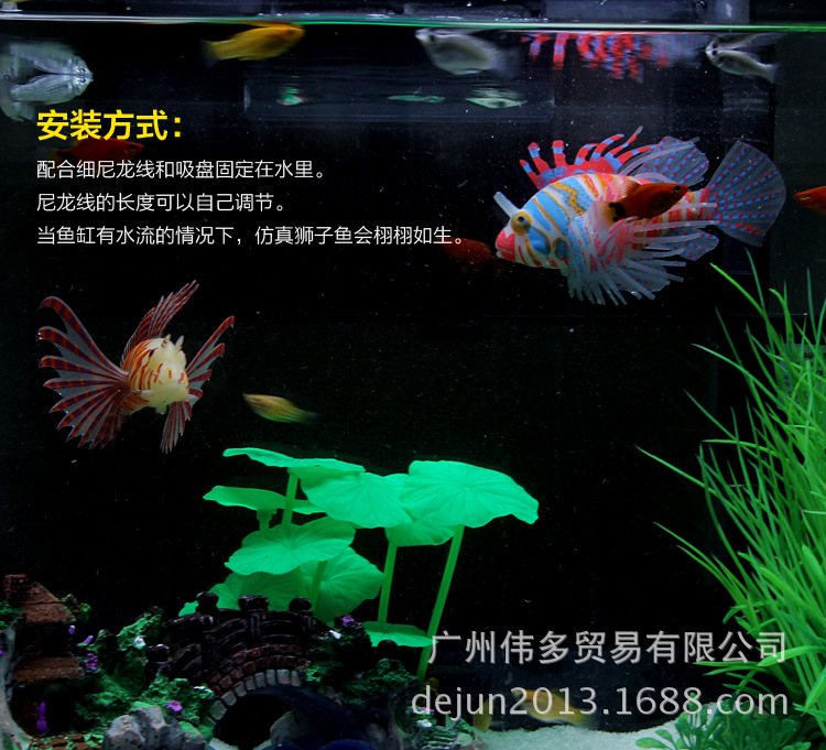 獅子魚_09