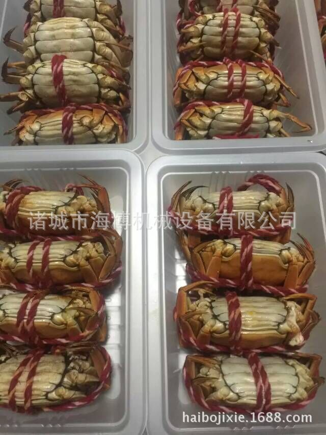 QQ图片20150916090215